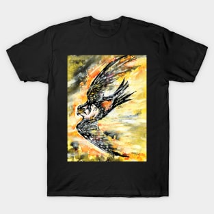 Aplomado Falcon Raptor T-Shirt